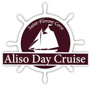 Aliso Day Cruise